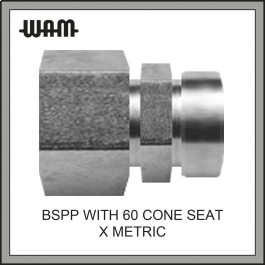 BSPP with 60 Deg Cone Seat x Metric