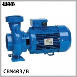 230V Centrifugal Irrigation Pump