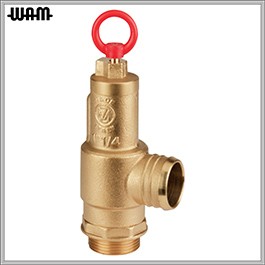 Safety Valve With Hose Connector